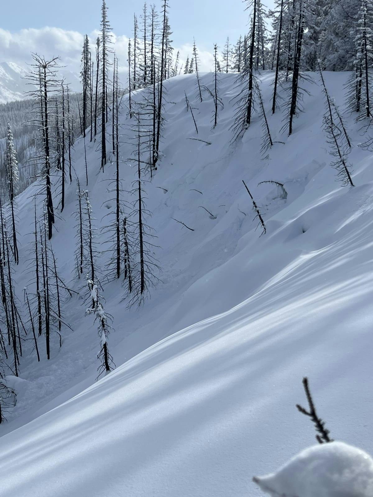 A remotely triggered small avalanche initiating on a steep, treed slope