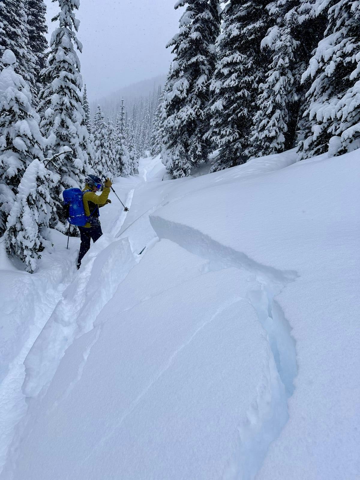 A skier stands next to a small slab avalanche that has collapsed onto a skin track