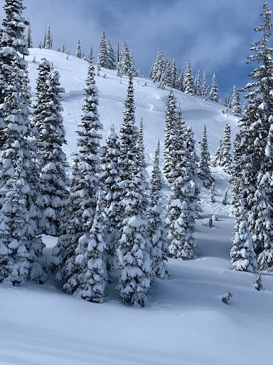 An avalanche on a small, steep slope between trees