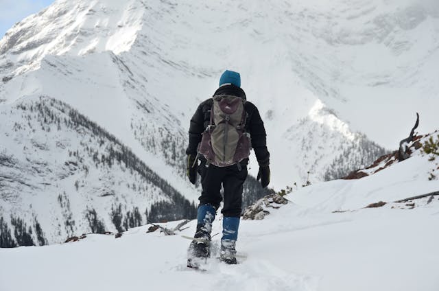 A snowshoer on Mount Fortune in Banff National Park. Photo by Marko Stavric.