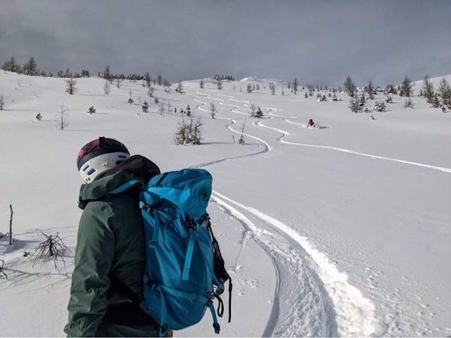 A skier in low-angle terrain on Hector Ridge in Banff National Park.