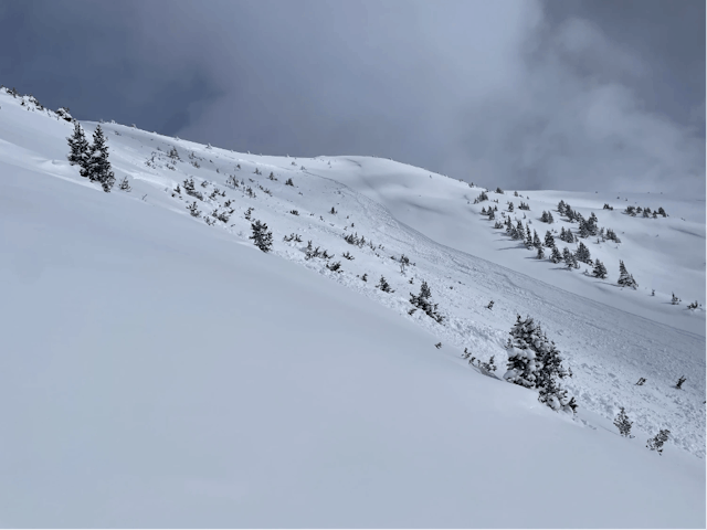 A large avalanche runs from a ridgeline down low angle terrain