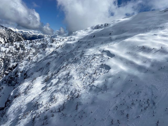 Photo of persistent slab avalanche.