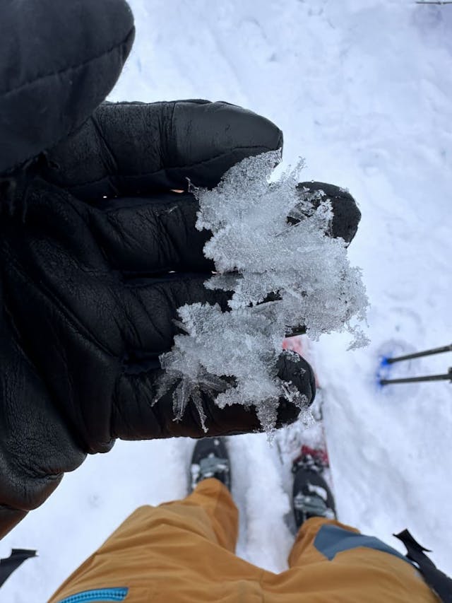 A skier holds large surface hoar crystals in a gloved hand. 