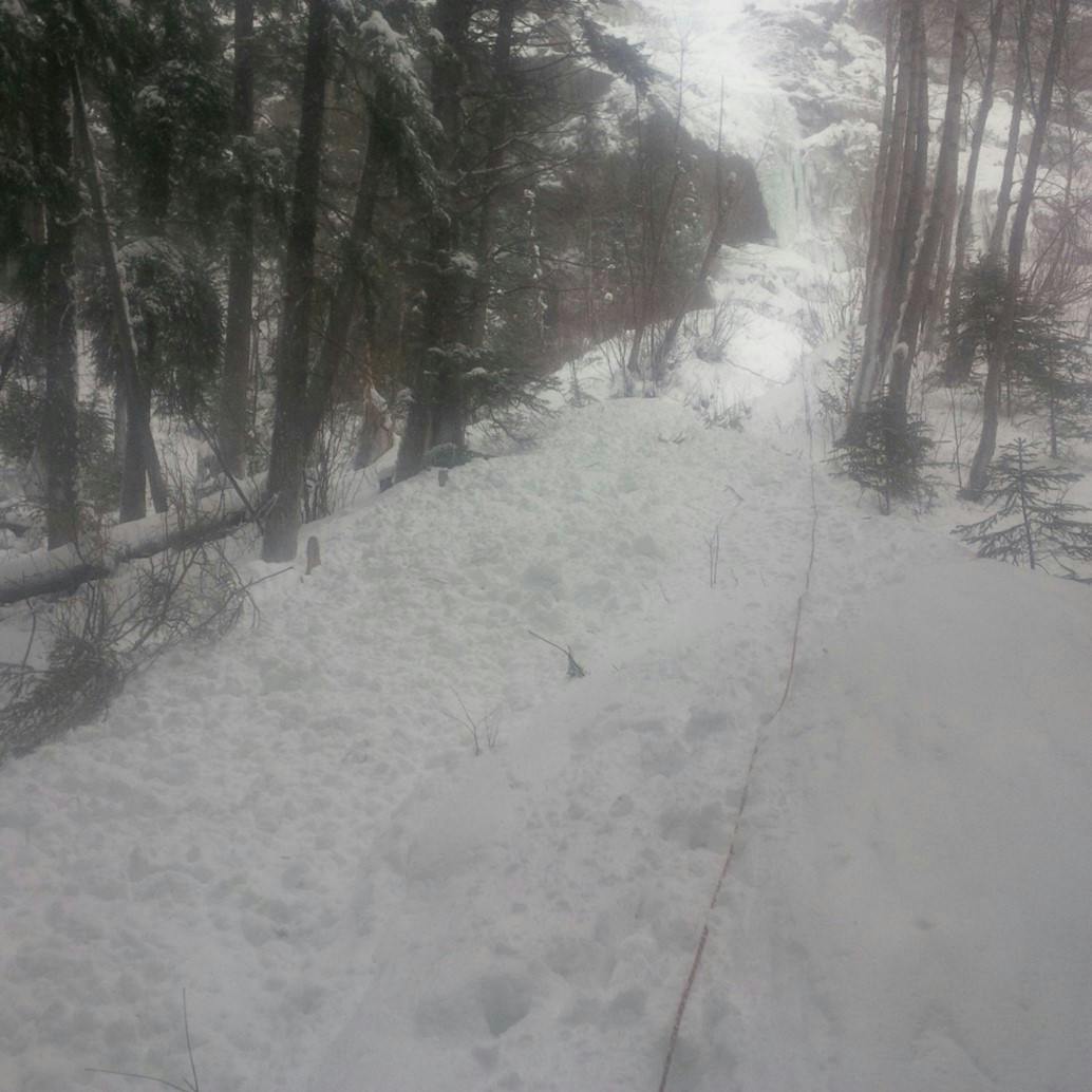 Image shows the climb and debris in the trees below. 