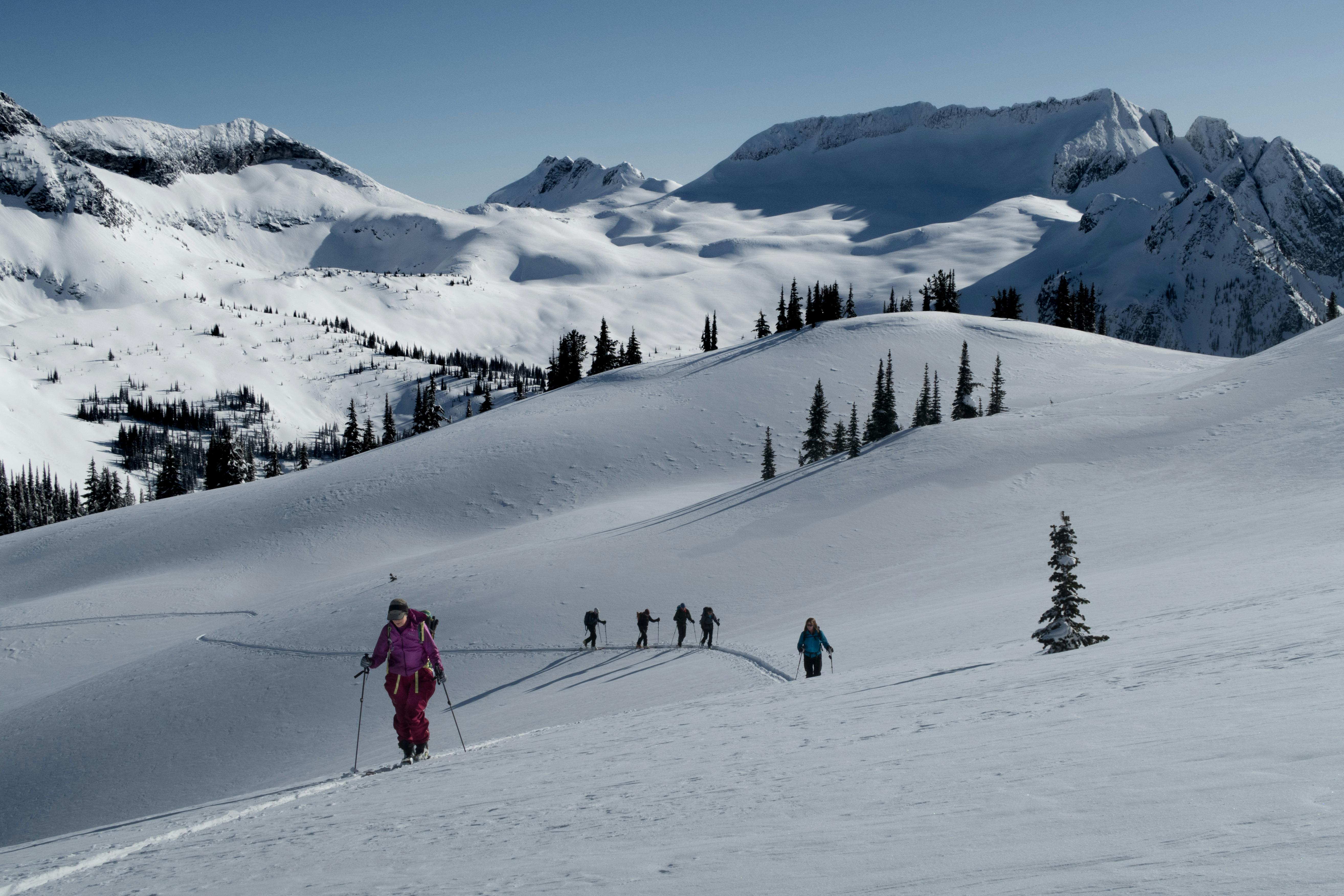 A group of well spaced out skiers traverse a mellow, open slope on a skin track.
