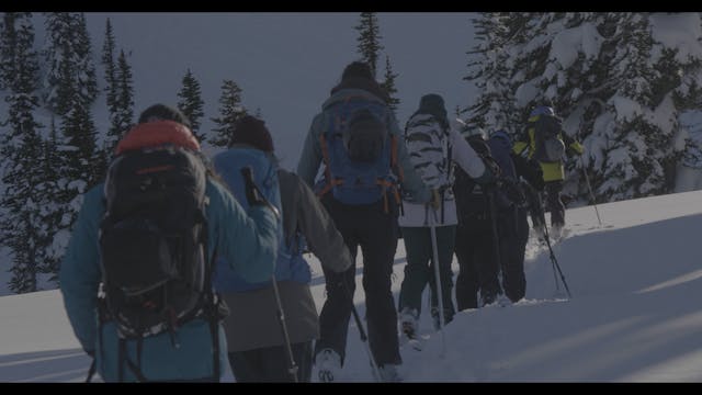 A group of ski tourers climb a gentle slope