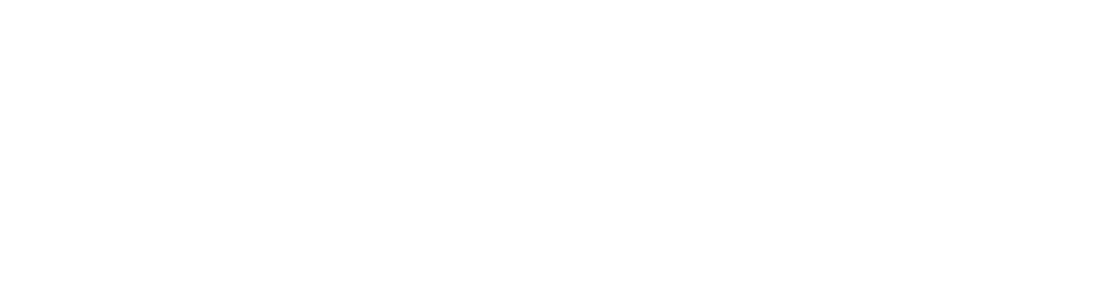 Schmit logo