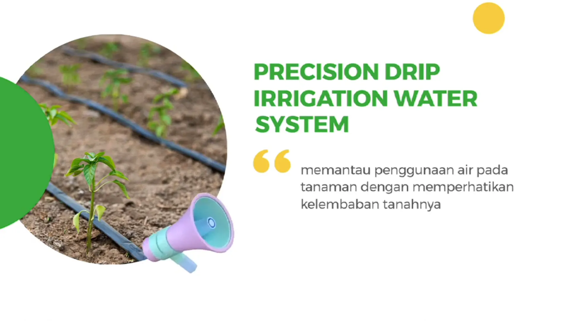 Precision Drip Water Irrigation