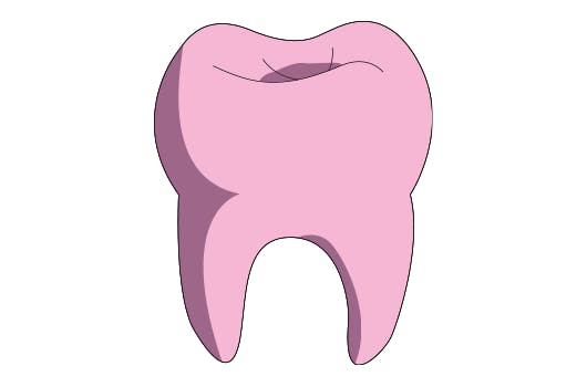 Quels sont les techniques d'orthodontie pour Adulte ?