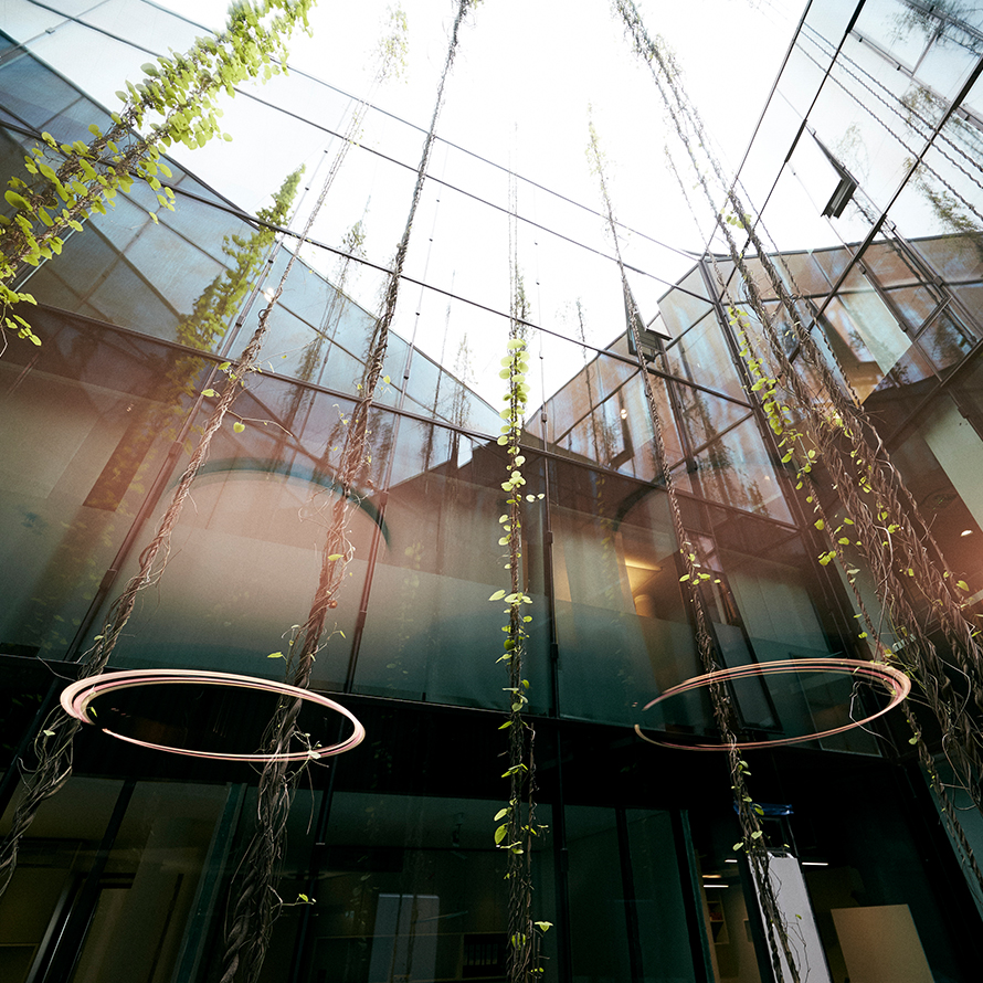 Notar Dr. Riemenschneider