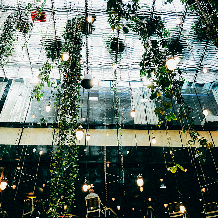 Notar Dr. Riemenschneider