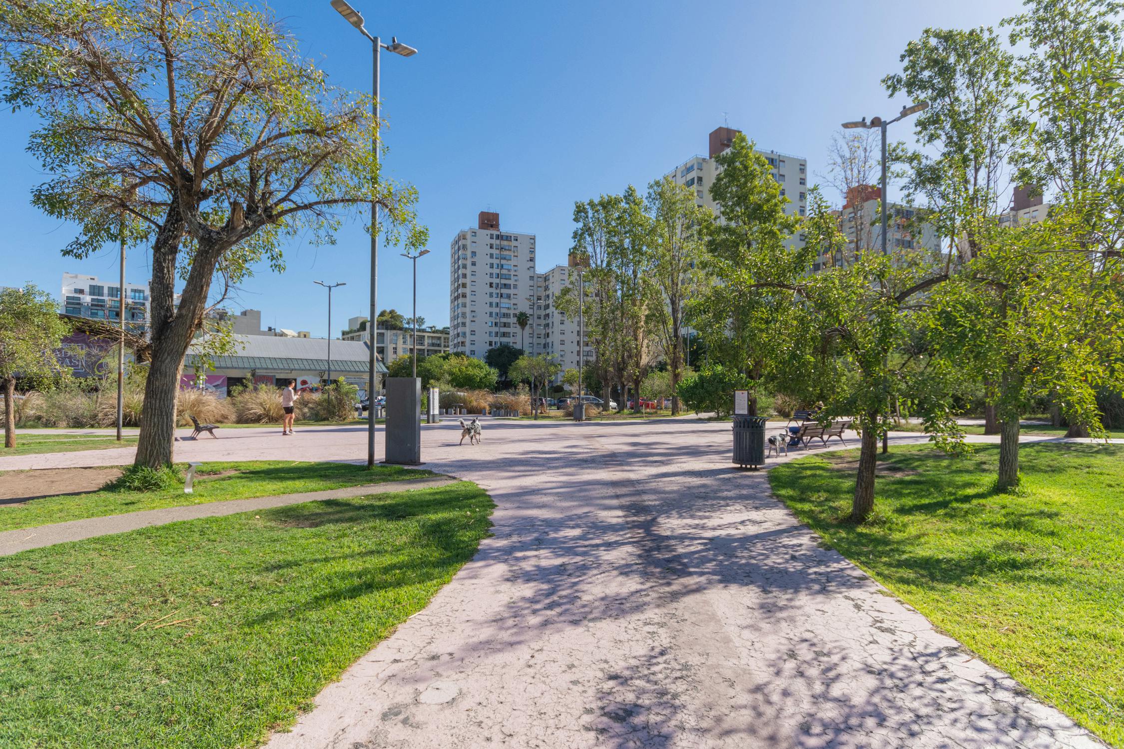 El nuevo Colegiales
