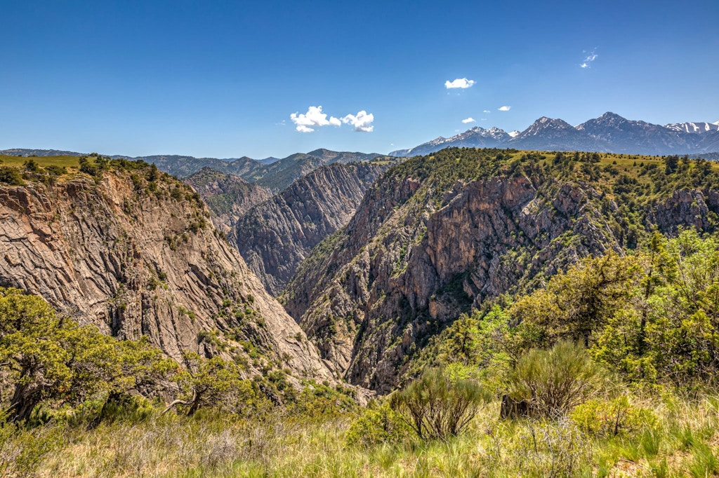 Oʻzbekistonda Yangi yilni kutib olish uchun manzillar