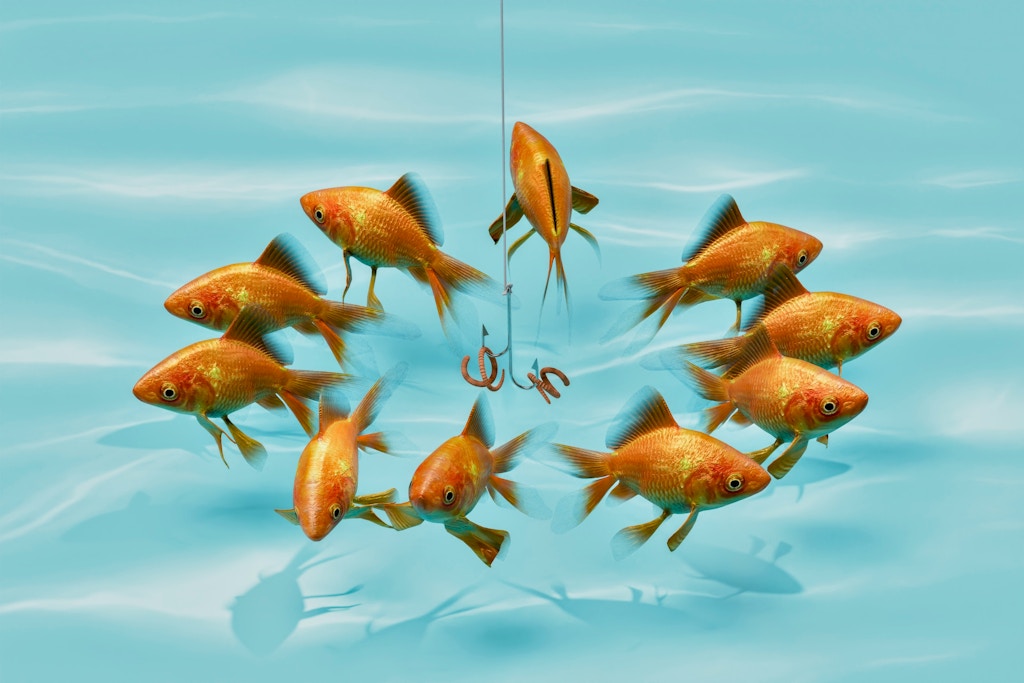 Ogoh bo‘ling: firibgarlarni aniqlash usullari