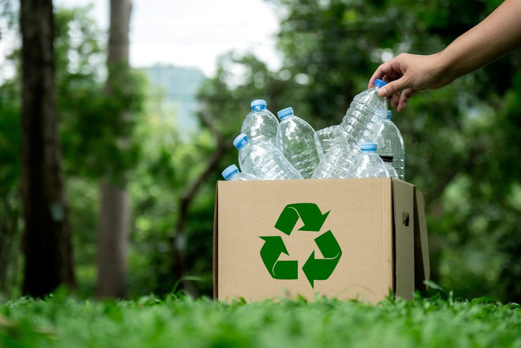 Qanday qilib tabiatga g'amxo'rlik bilan pul tejash mumkin?