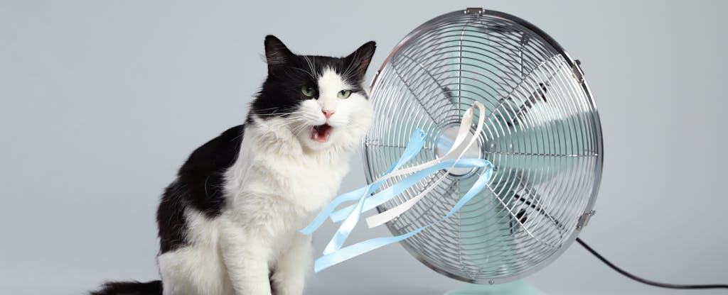 Natalya Dobrynskaya yalangoch fotosurat