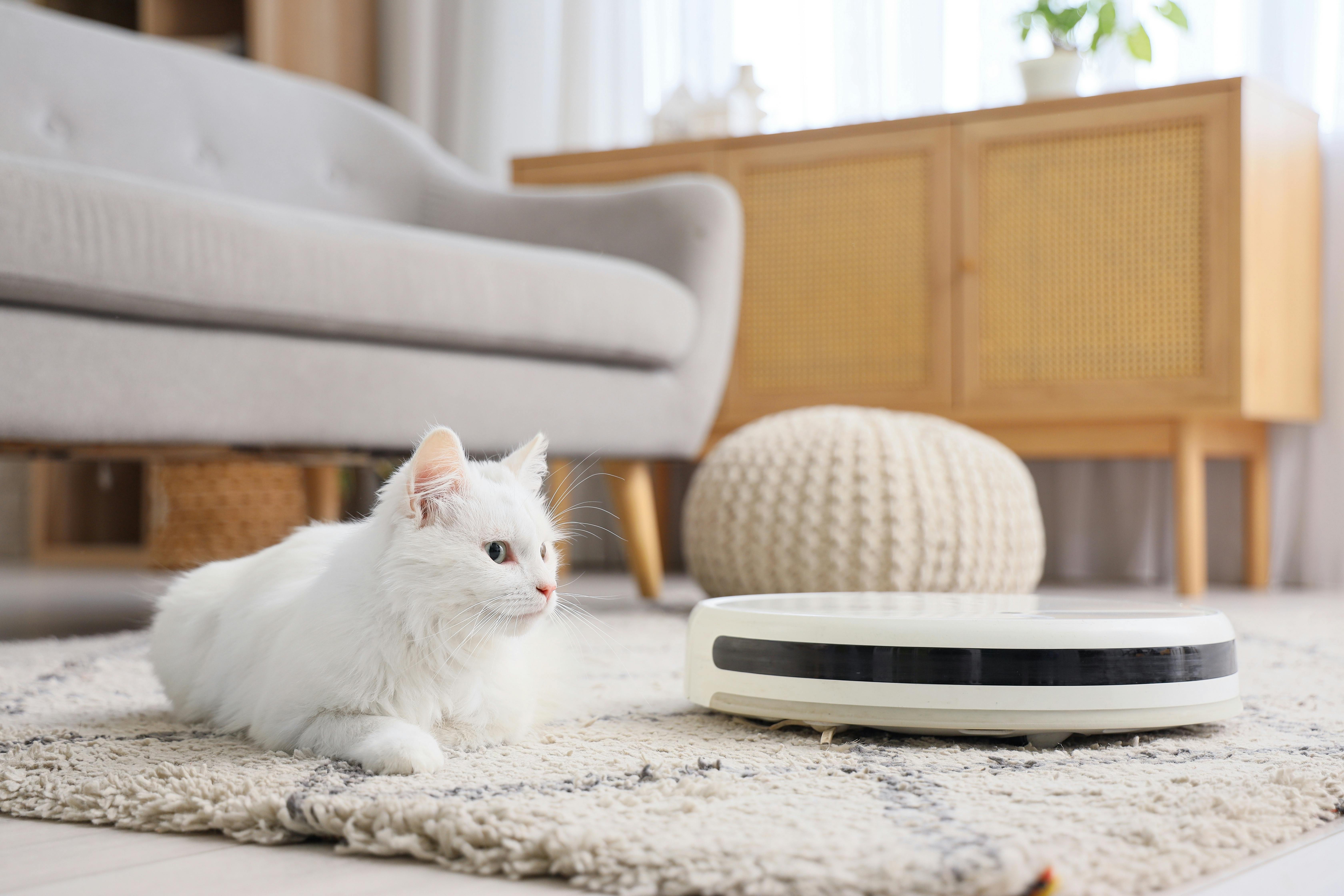 Berkovning eshakdagi fotosurati Ovqatda jinsiy aloqa porno video