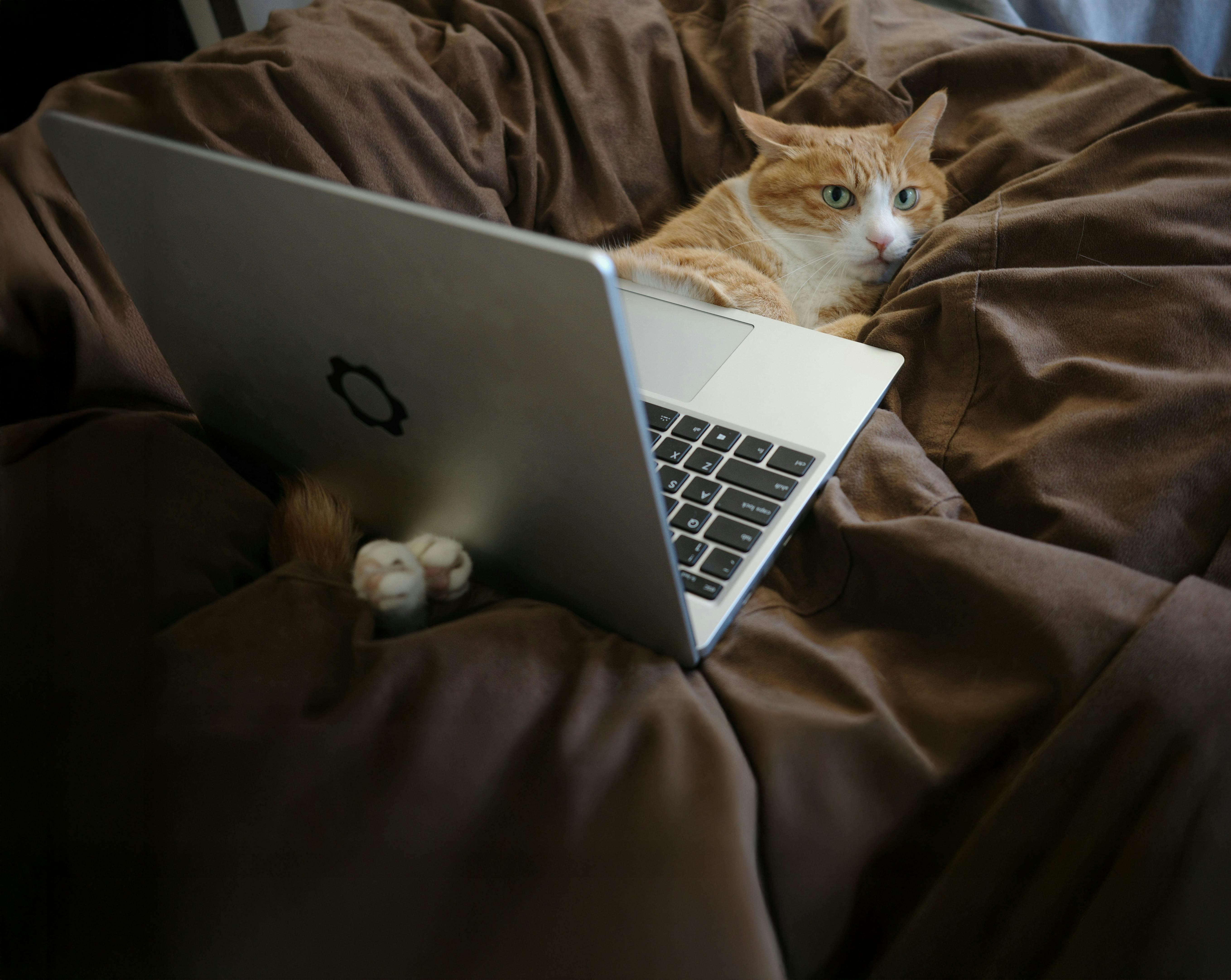 Porno video opa bilan jinsiy aloqa Porno Olya Buzova uchuvchi qalpoq