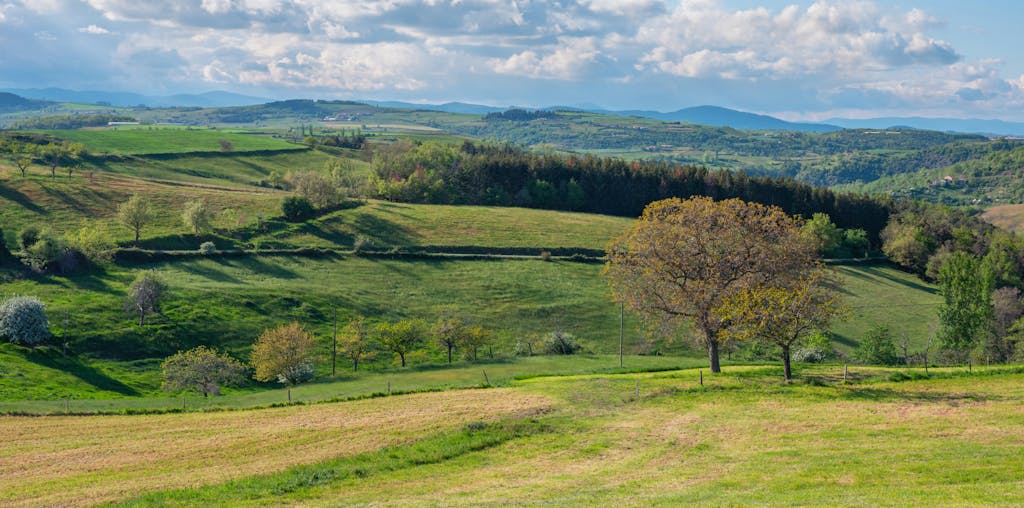 Qadimgi Mesopotamiya