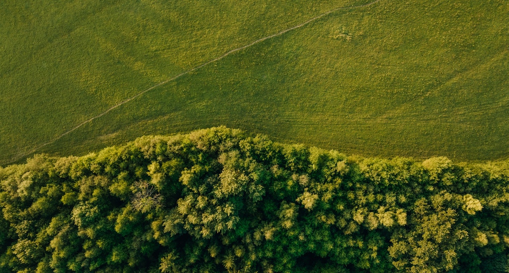 Ijobiy tomonlari: yer qanday daromad keltirishi mumkin