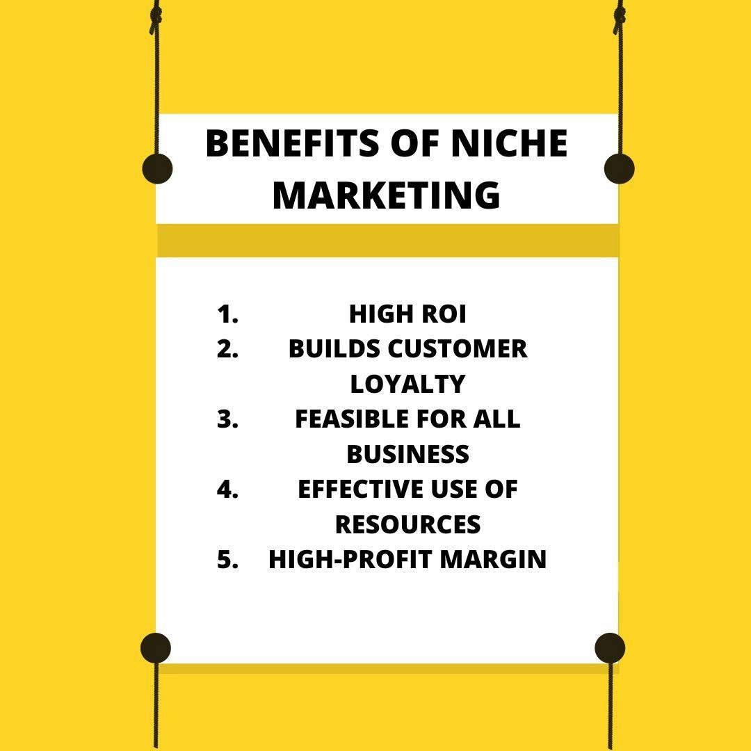 Niche Marketing: Definition, Strategies, and Examples to win