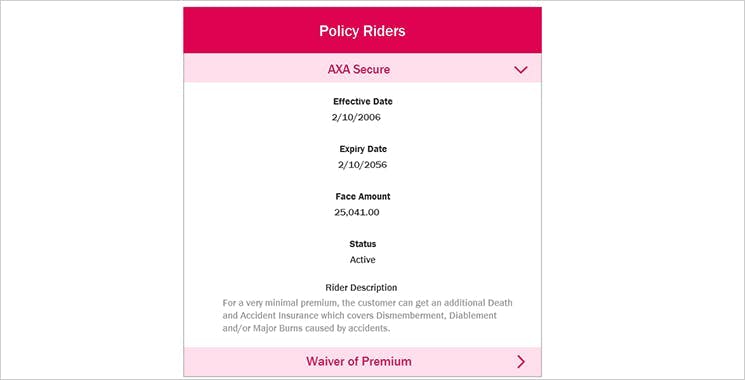 Emma by AXA Portal View Policy