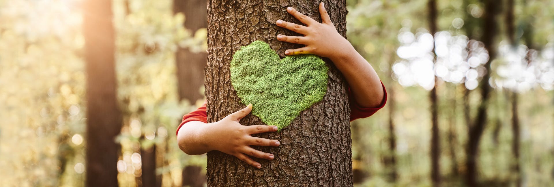 image d'un arbre enlacé par quelqu'un, un coeur en mousse est visible sur le tronc de l'arbre.