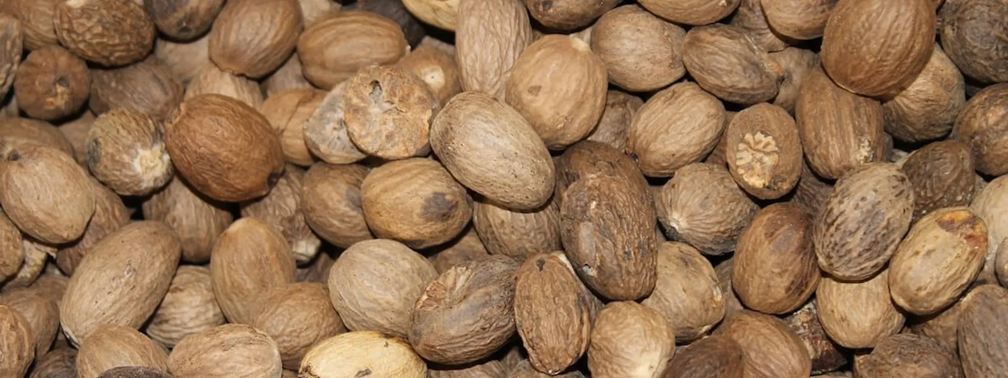 Muskatnuss