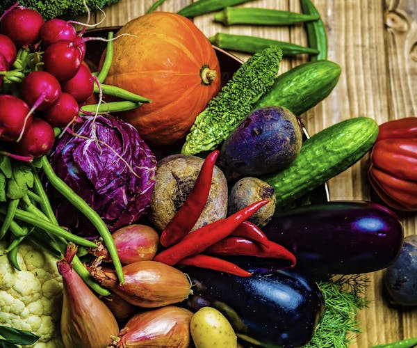 Ayurveda Test zur Ernährung