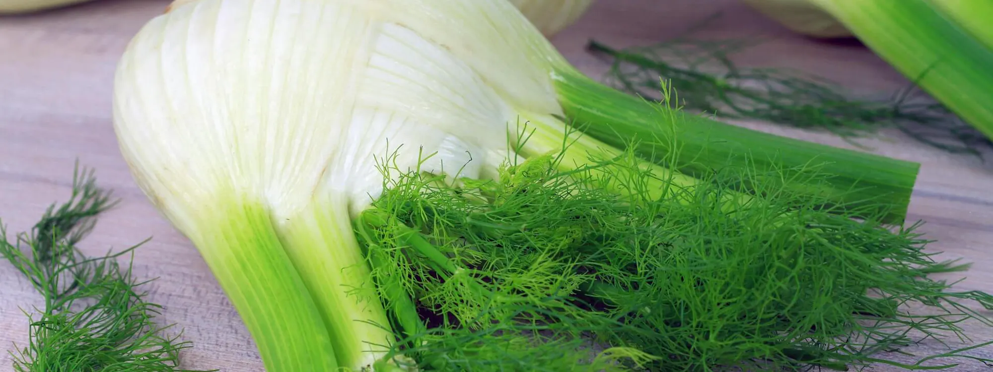 Fenchel