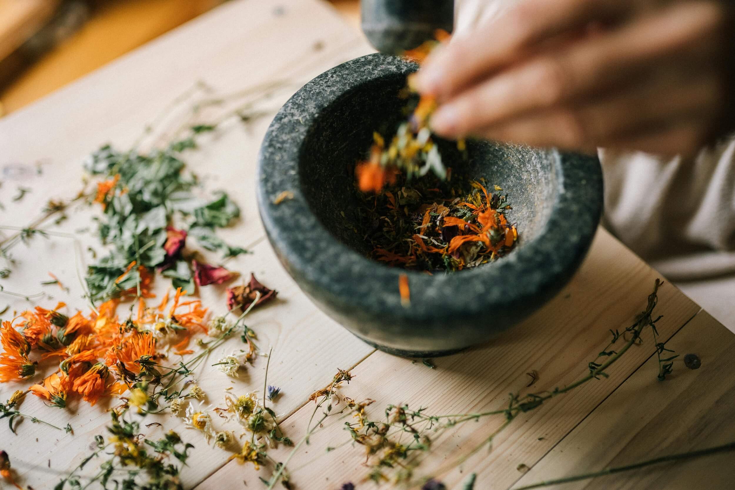 Phytotherapie