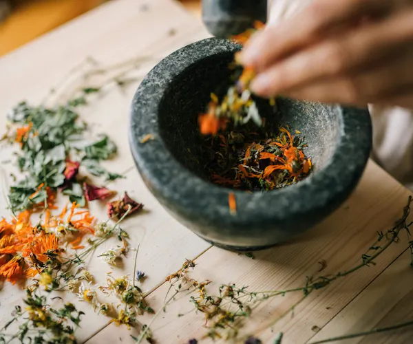 Phytotherapie