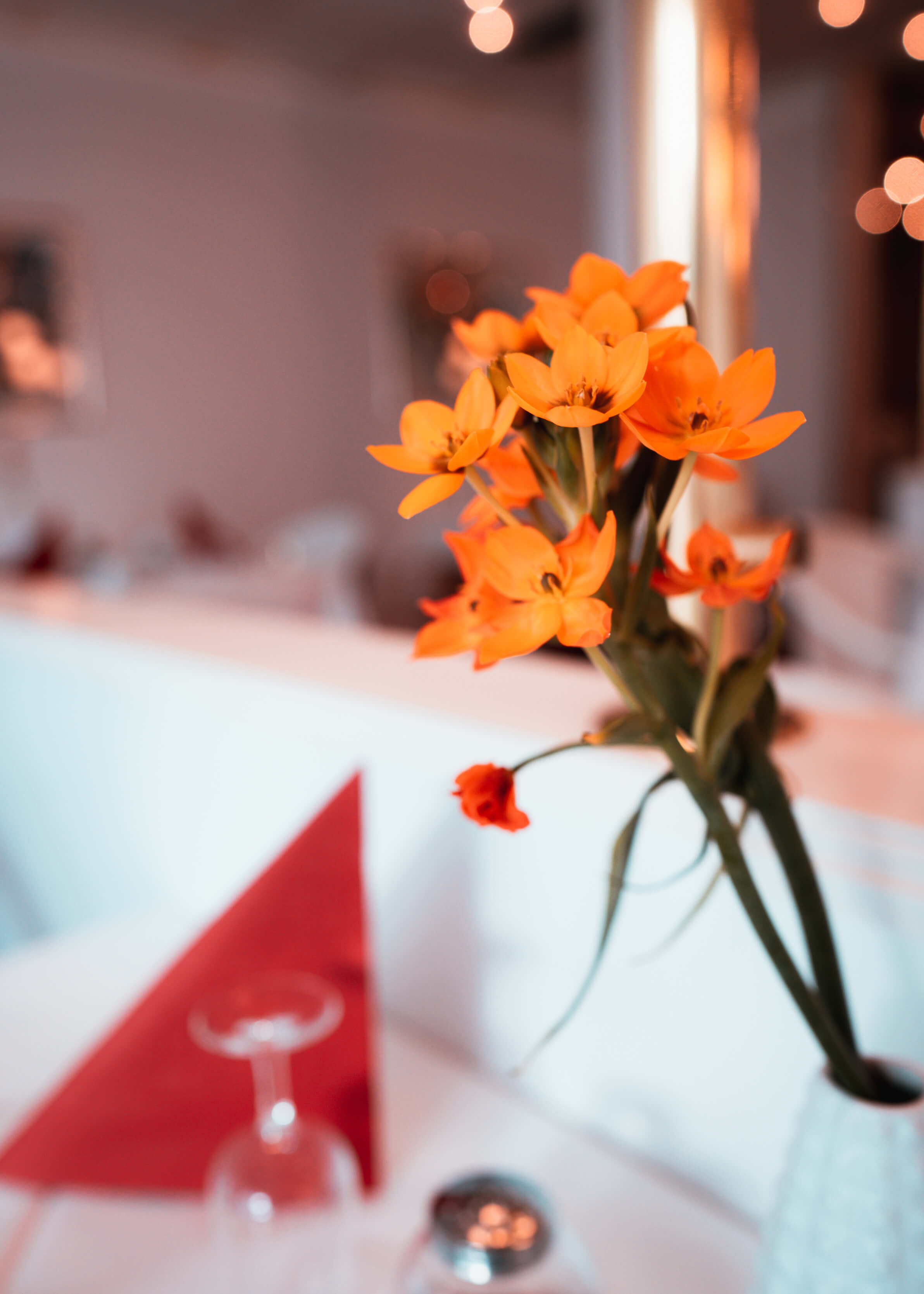 Blume im Speisesaal der Ayurveda-Klinik