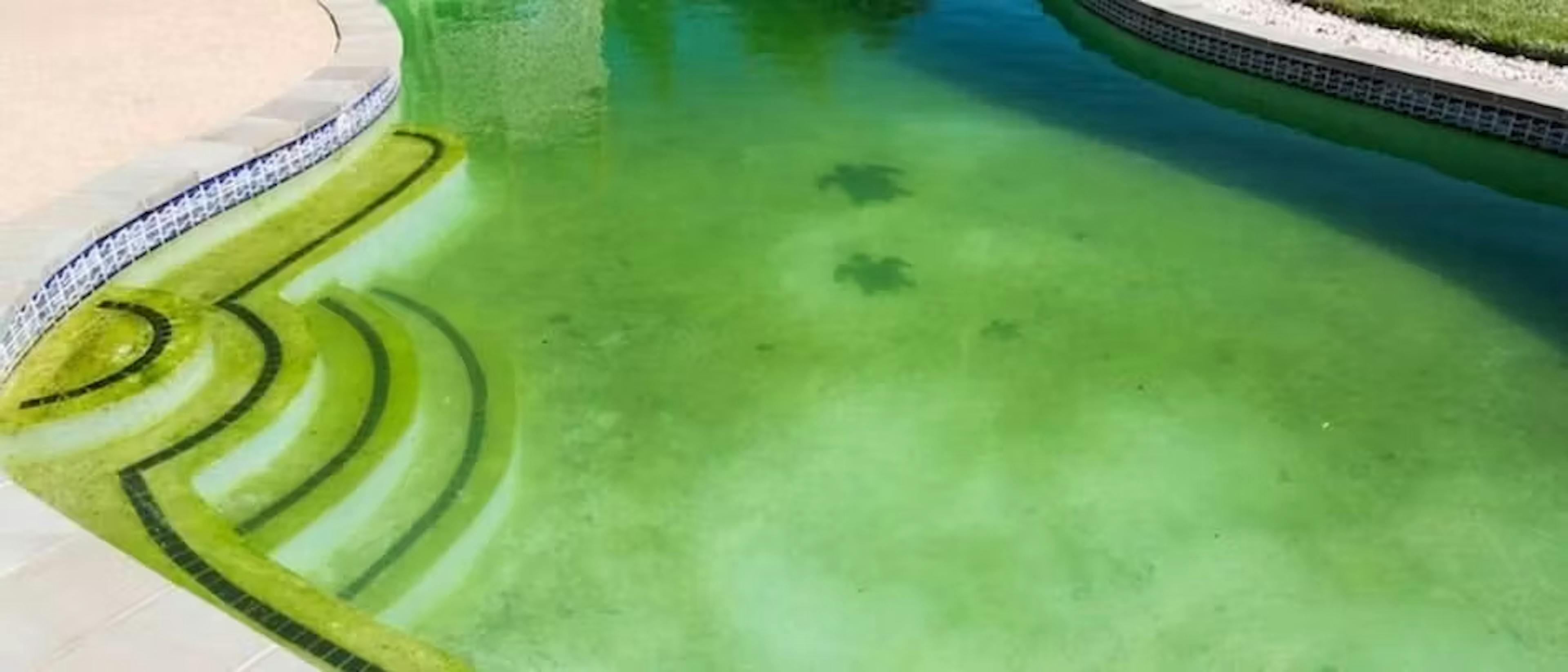 Groen zwembadwater?