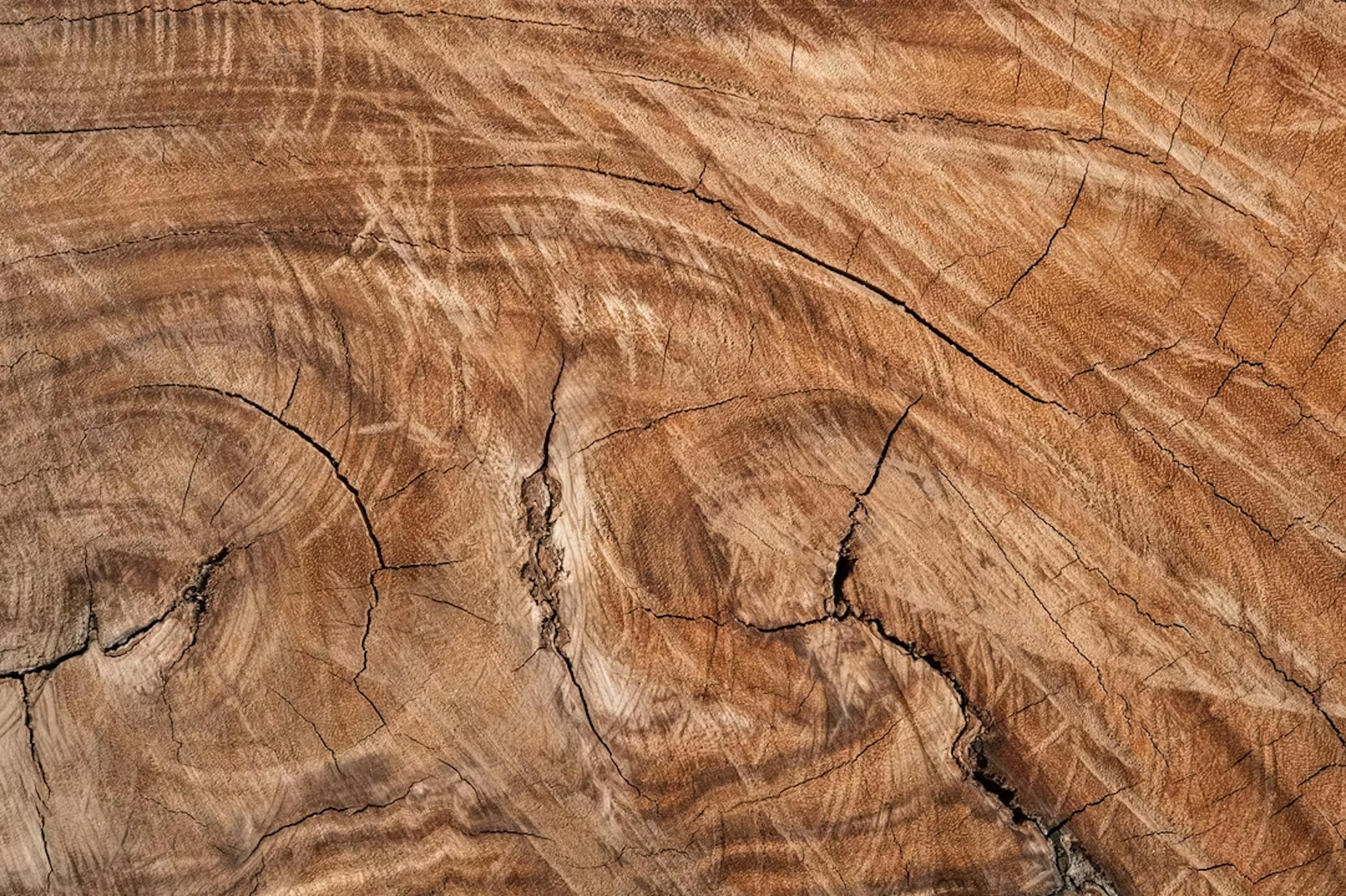 De werking van hout