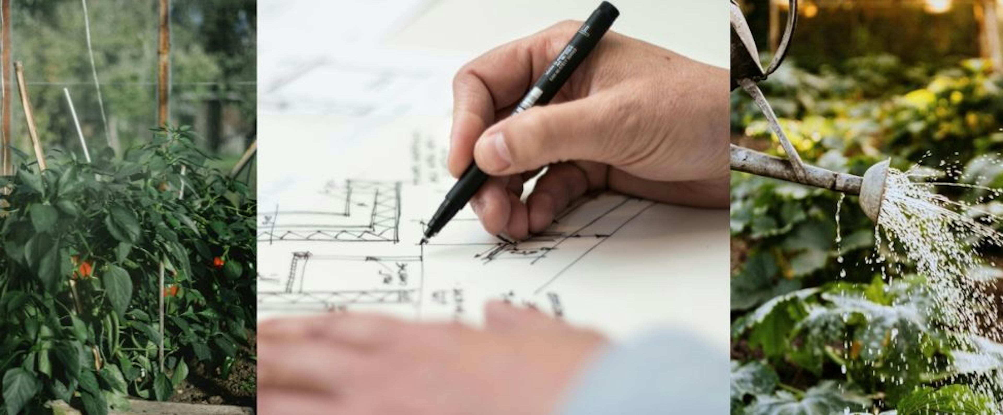 De Ideale Plek voor Jouw Tuinserre: Groen succes!