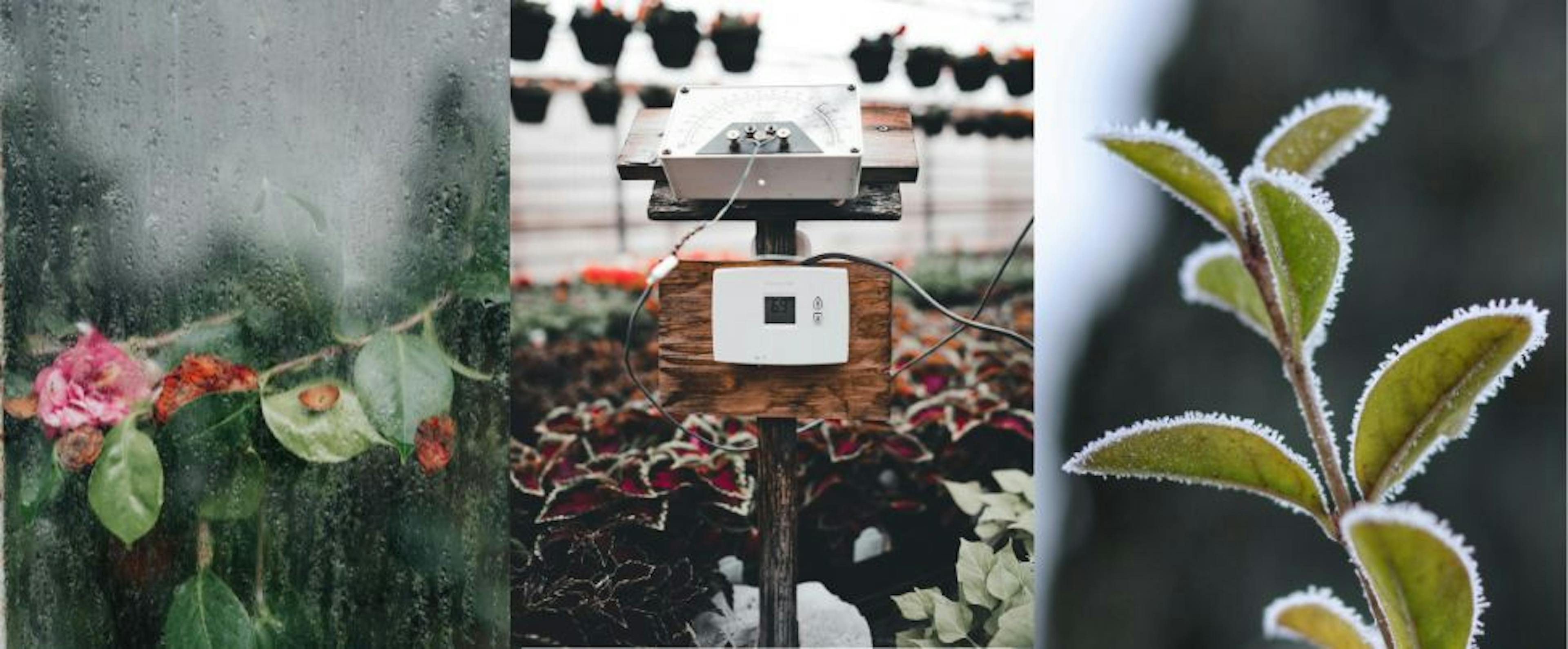 Verwarmingssysteem voor Je Tuinserre: Heb je het Nodig?