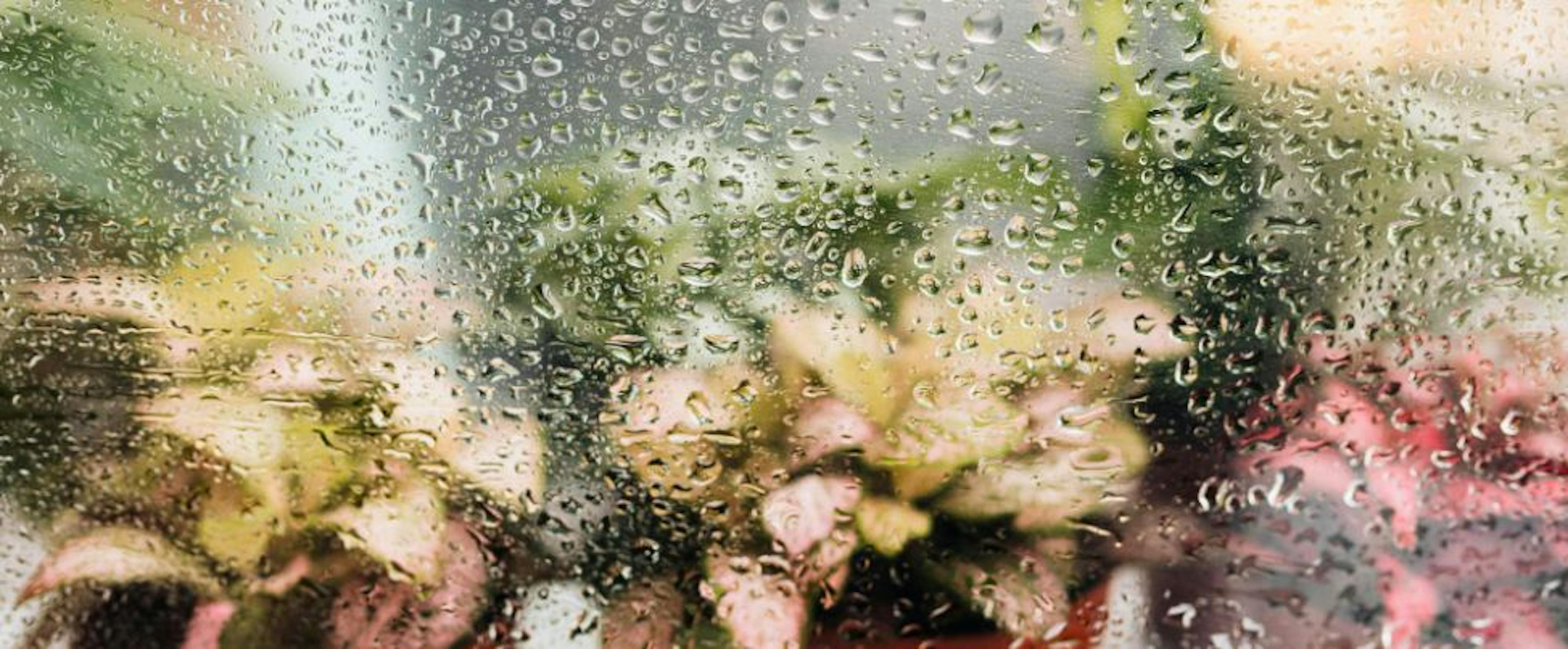 De Gids voor Tuinkas Materialen: Van Glastype tot Daktype