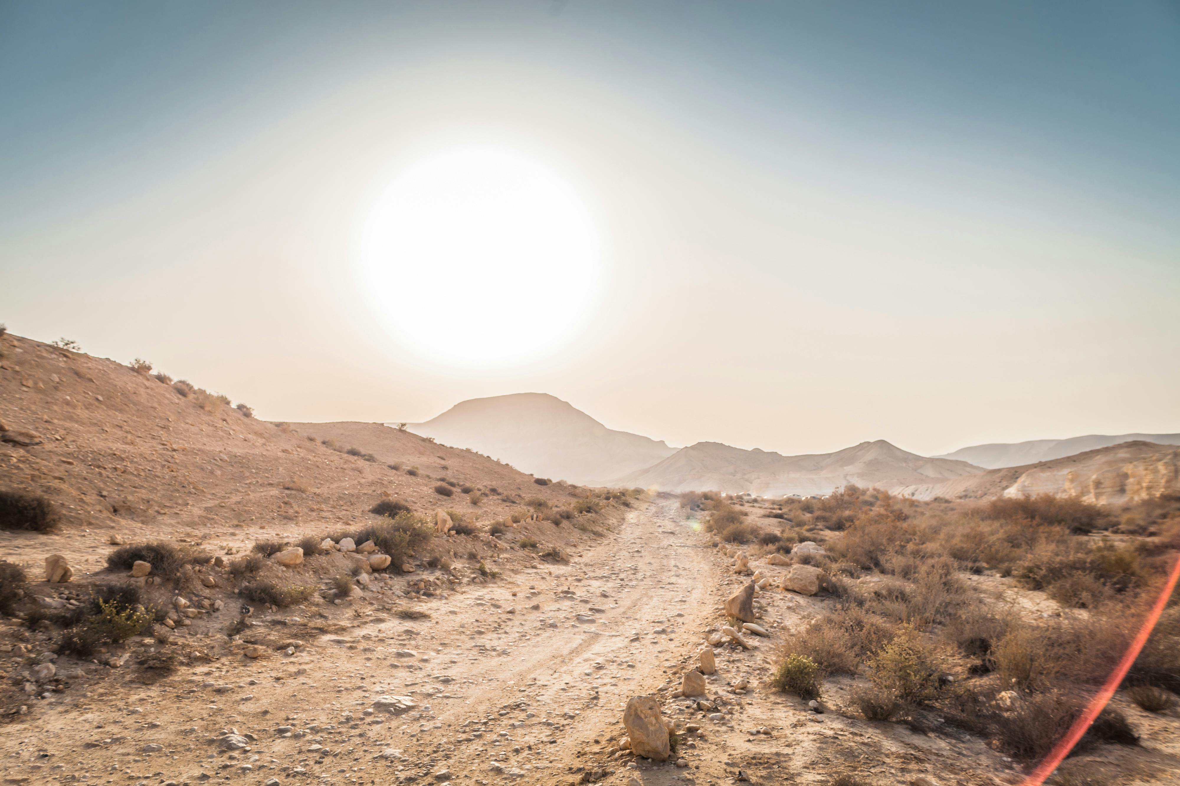 Israel Desert Sun