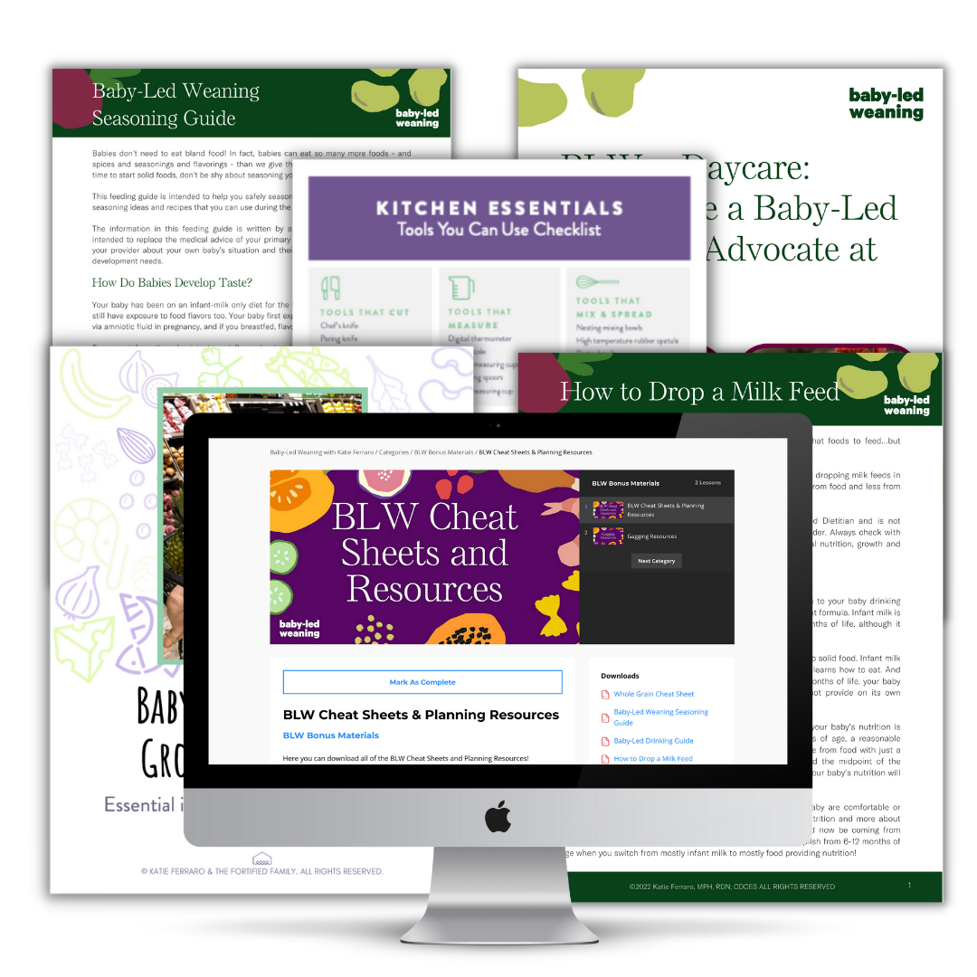 Screenshot of features of the Baby-Led Weaning with Katie Ferraro program