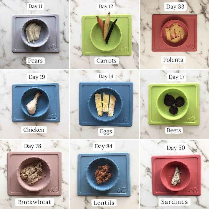 Screenshot of overhead of 9 ezpz suction Mini Bowls with foods in them each representing which day number and food name from the 100 First Foods Program