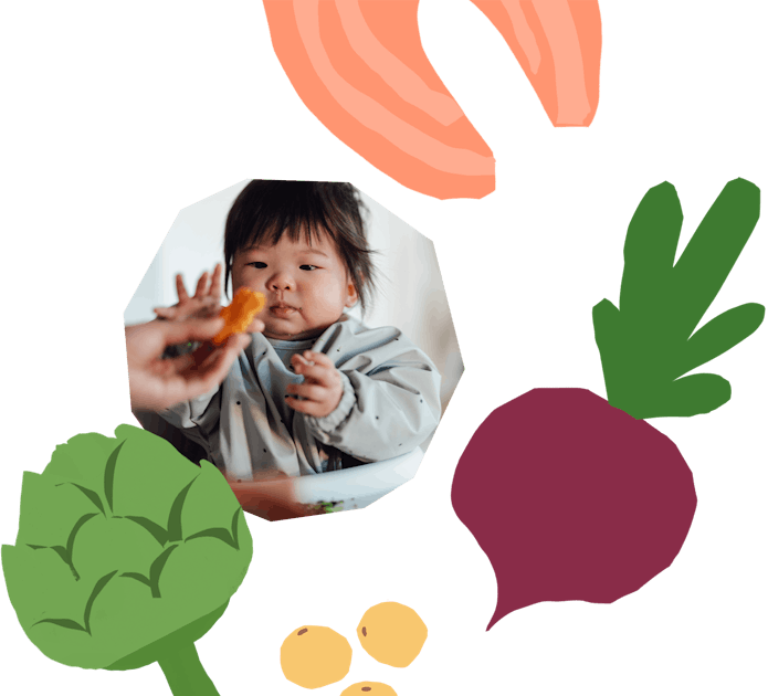 Baby Led Weaning Meal Ideas for the 1st Year - New Darlings