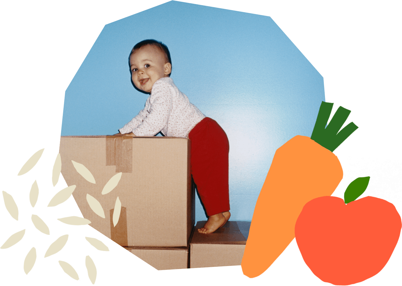 BabyLed Weaning for Beginners