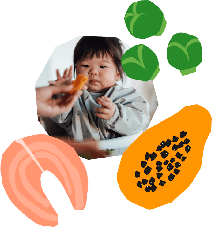 BABY LED WEANING: HOW TO PREPARE FOODS + PROGRESSION TIPS 