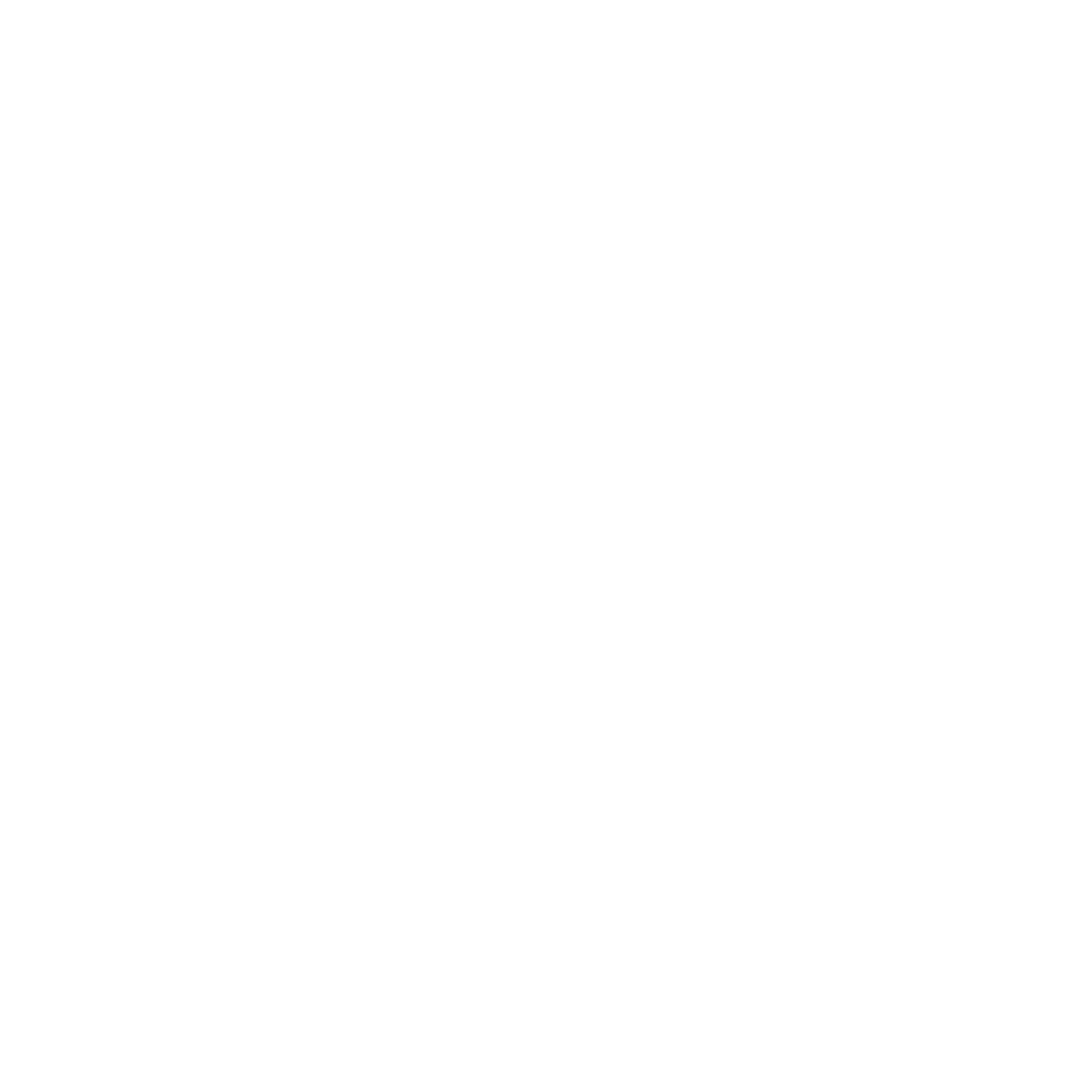 Social icon