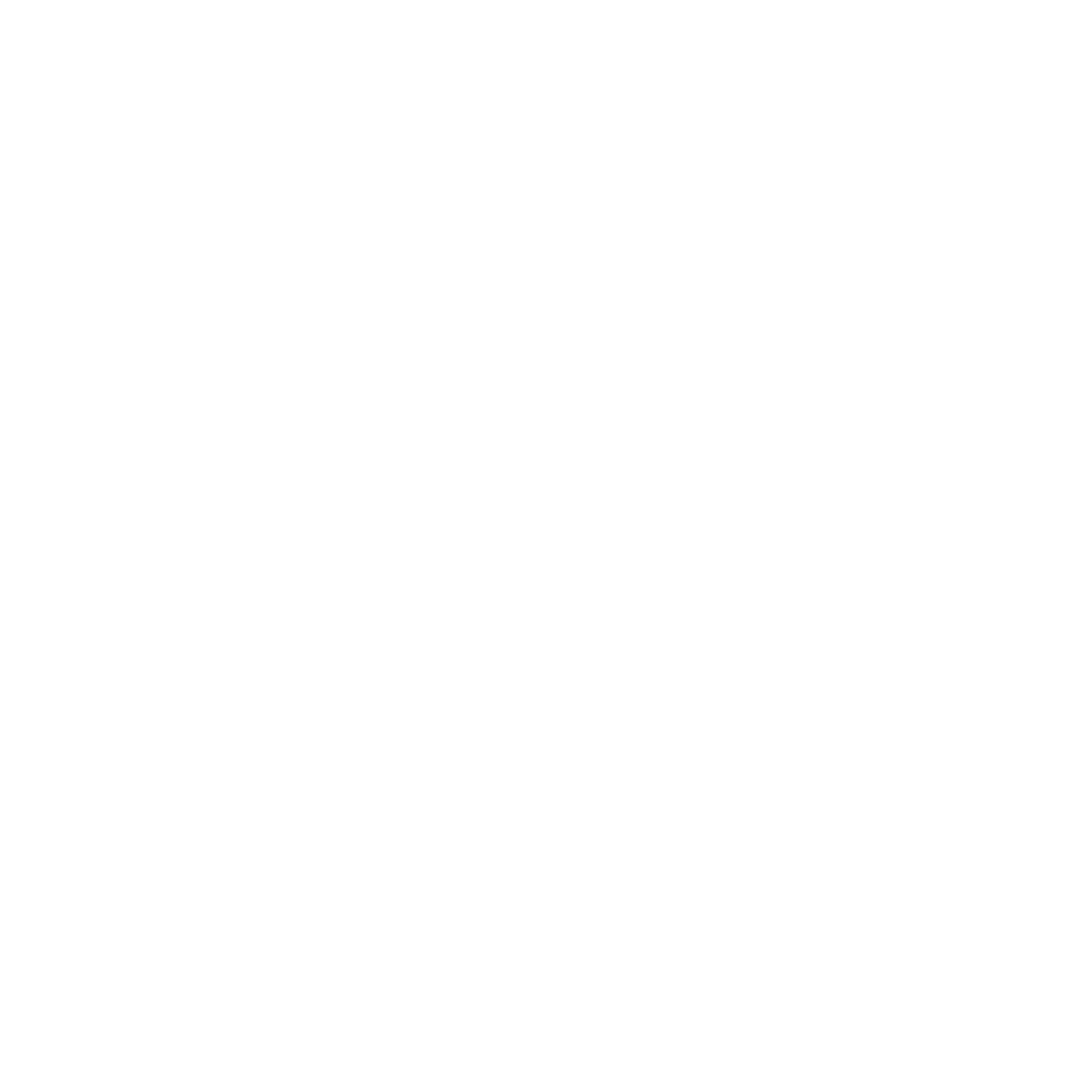 Social icon