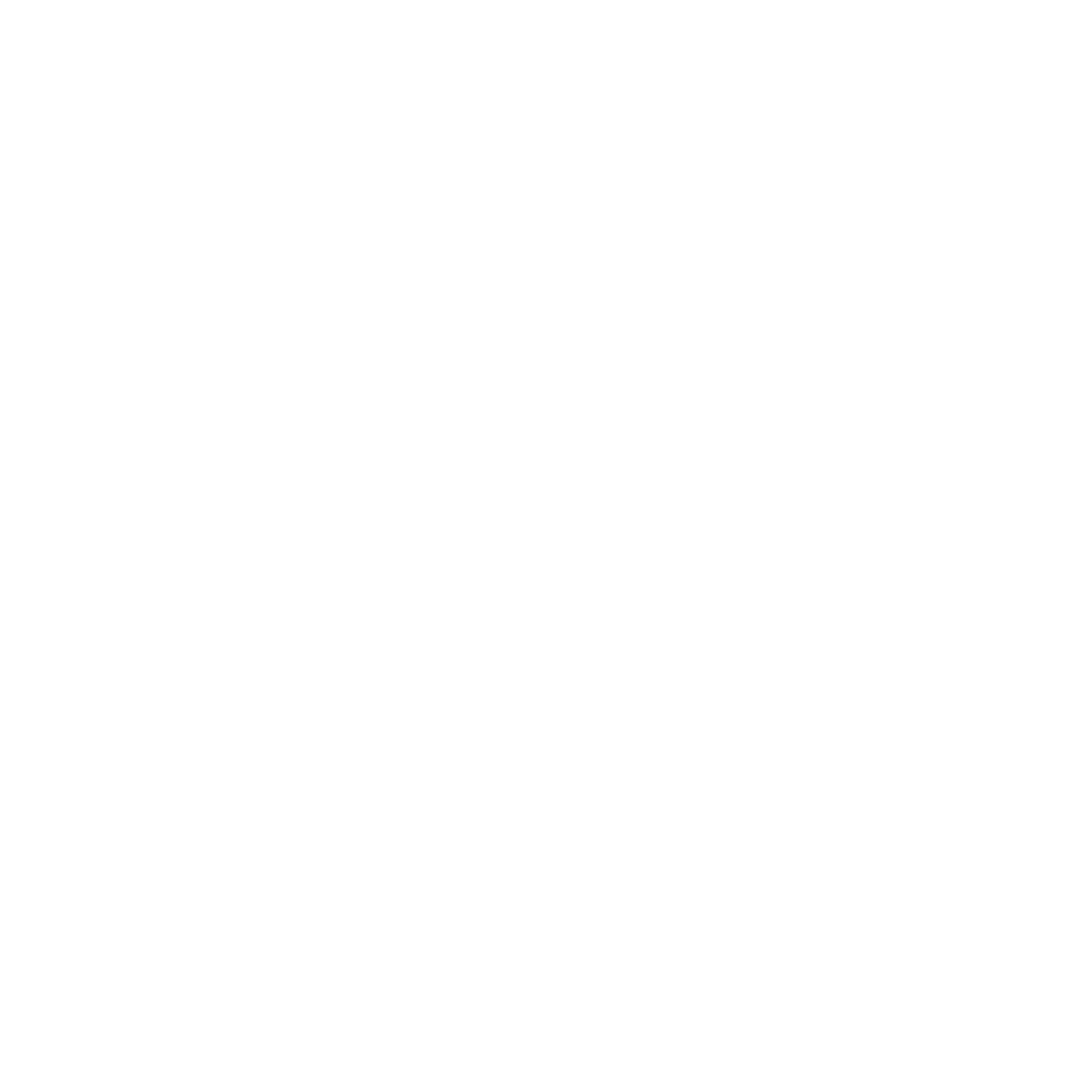 Social icon