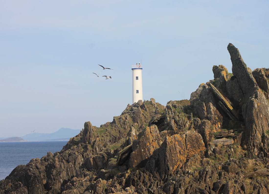 Centros de Dia Concertados en Pontevedra