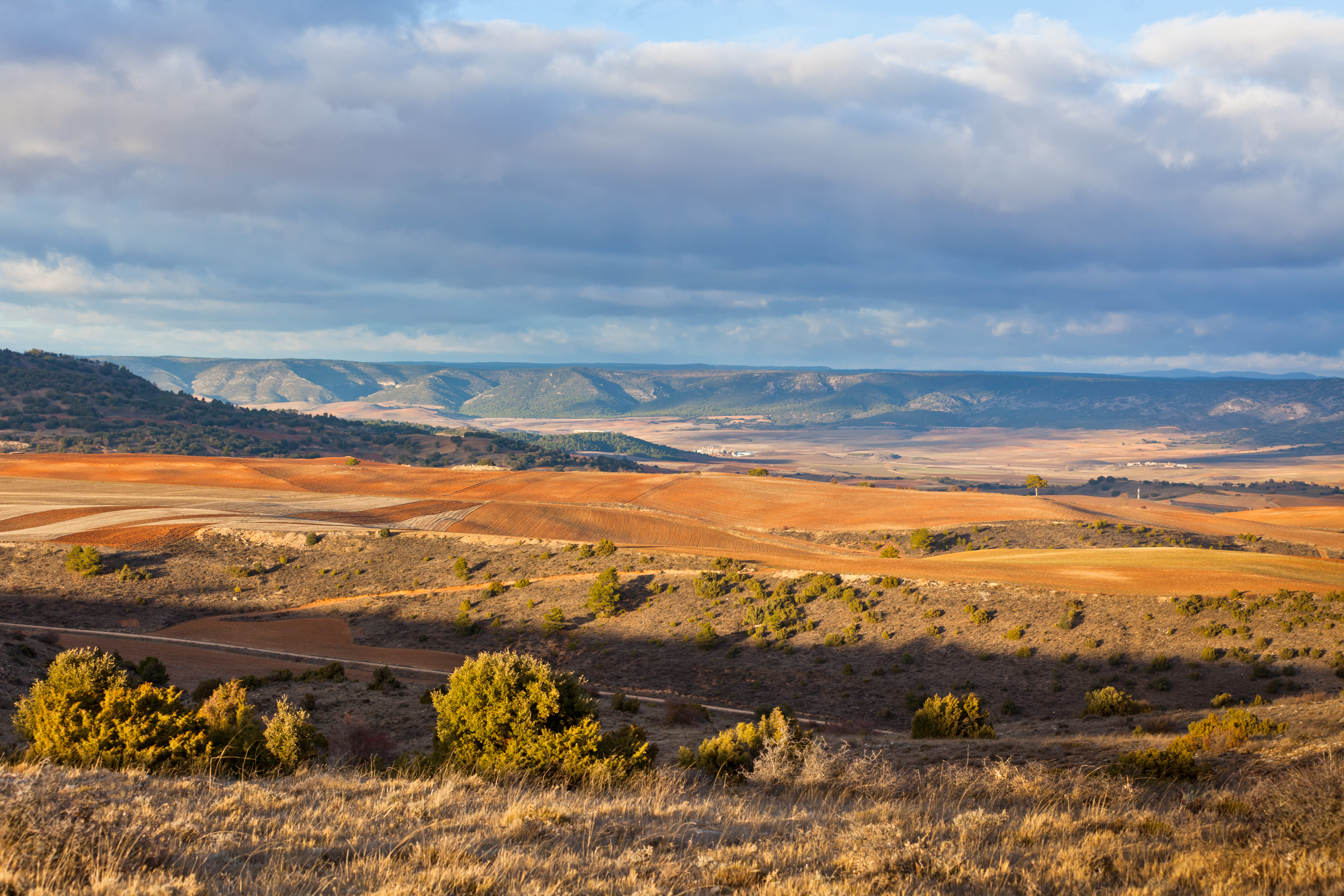 Mejores centros de cia en Ciudad Real